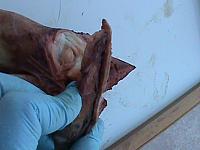 DSC01026