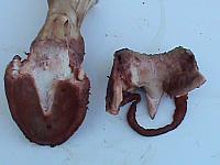 DSC01036