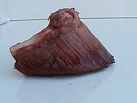 DSC01039