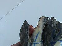 DSC01059