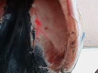 DSC01136
