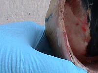 DSC01143
