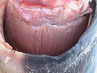 DSC01148