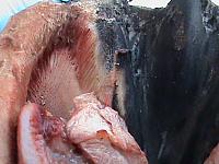 DSC01150