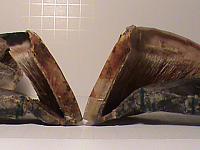 DSC01360