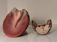 DSC01401