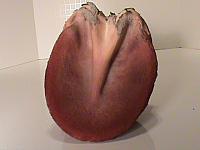 DSC01402