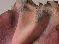 DSC01403