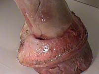 DSC01407