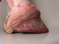 DSC01409