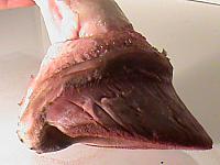DSC01421