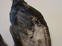 DSC01425