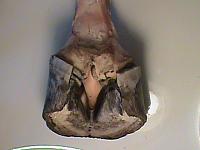 DSC01456