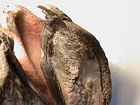 DSC01459