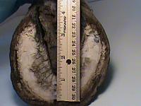 DSC01465