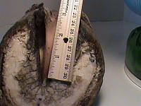 DSC01469