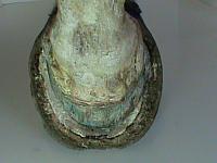 DSC01785