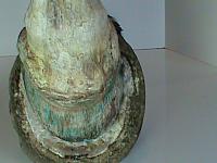 DSC01786