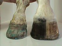 DSC01791
