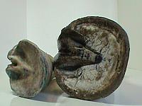 DSC01795