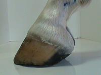DSC01801