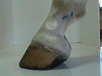 DSC01802