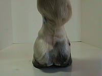 DSC01803