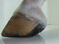 DSC01807