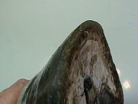 DSC01816