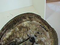 DSC01818