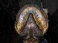 DSCN0578