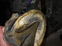 DSCN0826