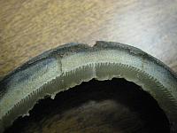 Foal macro hoof 001