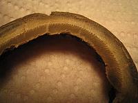 Foal macro hoof 005