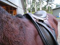 IMG 0043 zps3dzffotn
