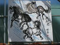 IMG 2405 zpsdsdfd9s5
