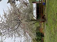 IMG 3085