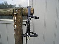 IMG 7279 zps9tjrsmkr