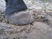 IMG 7295 zps34lcyxso