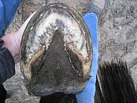 IMG 7296 zpscald9ot2