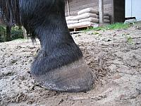 IMG 7297 zpsrmz4wgix