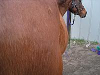 IMG 7326 zpse9xvpqav