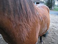 IMG 7328 zpsjibk86qb