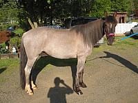 IMG 7625 zpsetewxqrd