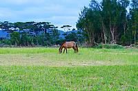 P1100683