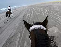 beachrun zps2olxop8m
