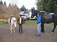 bullandbanner1stride 035 zps6i2xwsk1