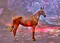 fairy horse