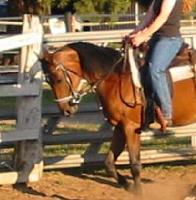 martingale2 zpsdqc1yfea