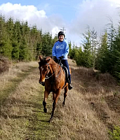 nicke trot down mountain